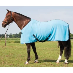 Harry's Horse Abschwitzdecke* Abschwitzdecken