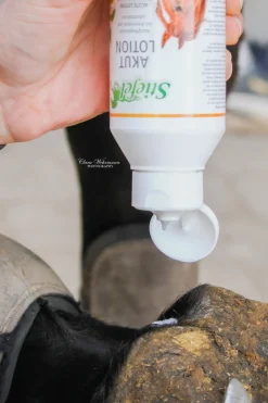 Stiefel Acute Lotion* Haar- & Mähnen- & Schweifpflege