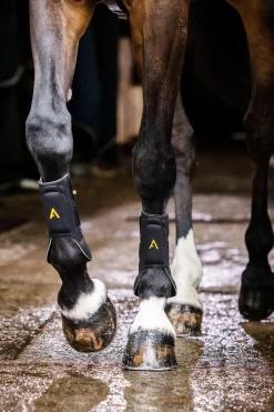 Horseware Adagio Gamaschen* Stall- & Transportgamaschen