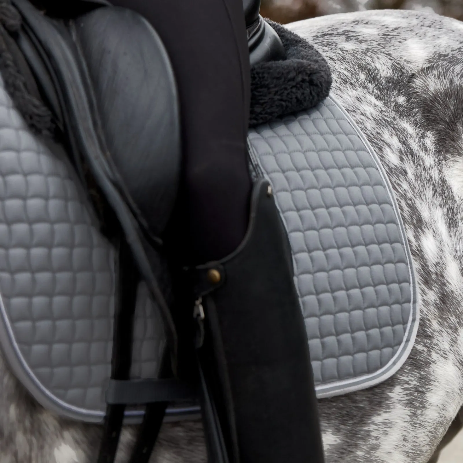 Horze Adepto Dressurschabracke* Dressurschabracken