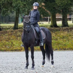 Horze Adepto Dressurschabracke* Dressurschabracken