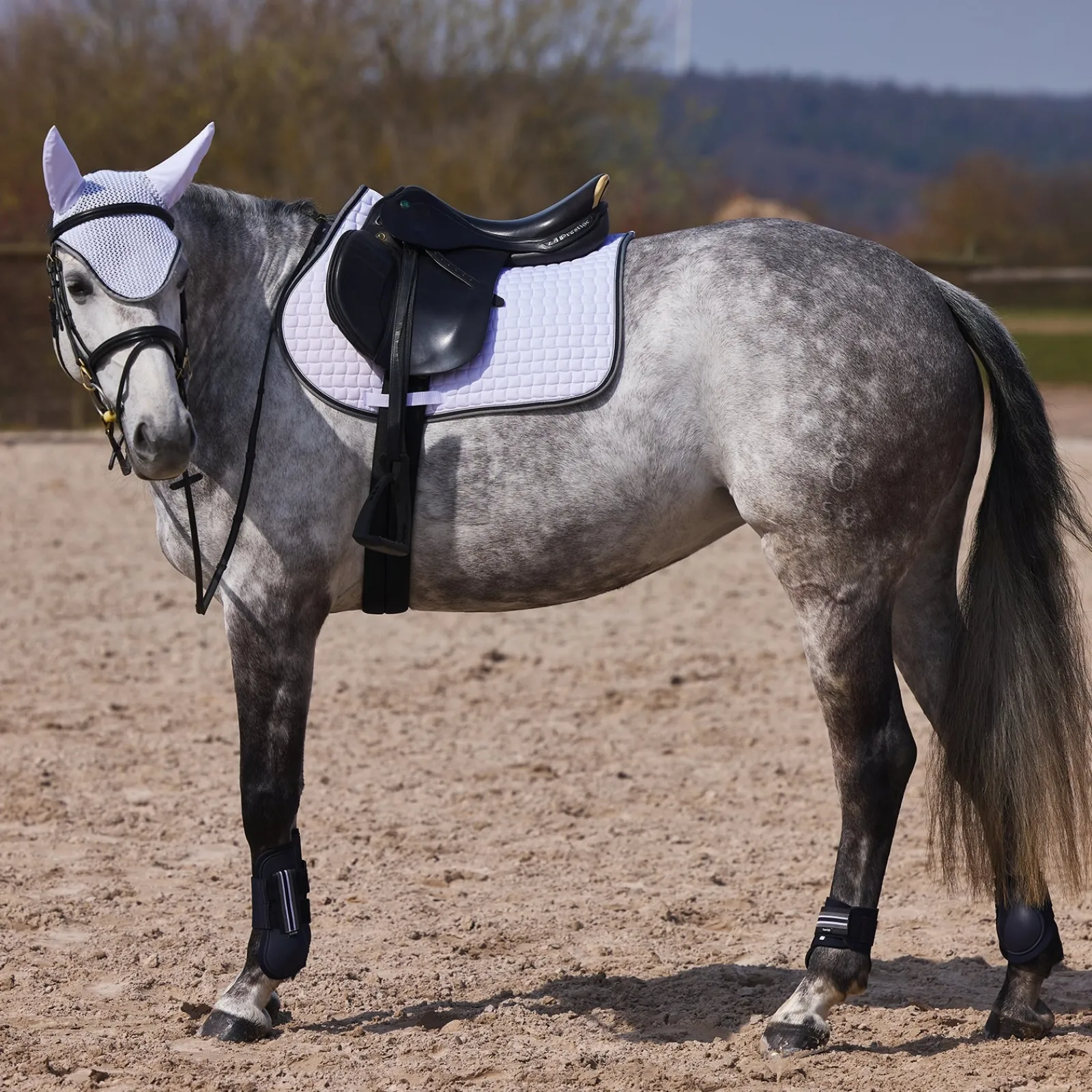 Horze Adepto Vielseitigkeitsschabracke* Spring- & Vielseitigkeitsschabracken
