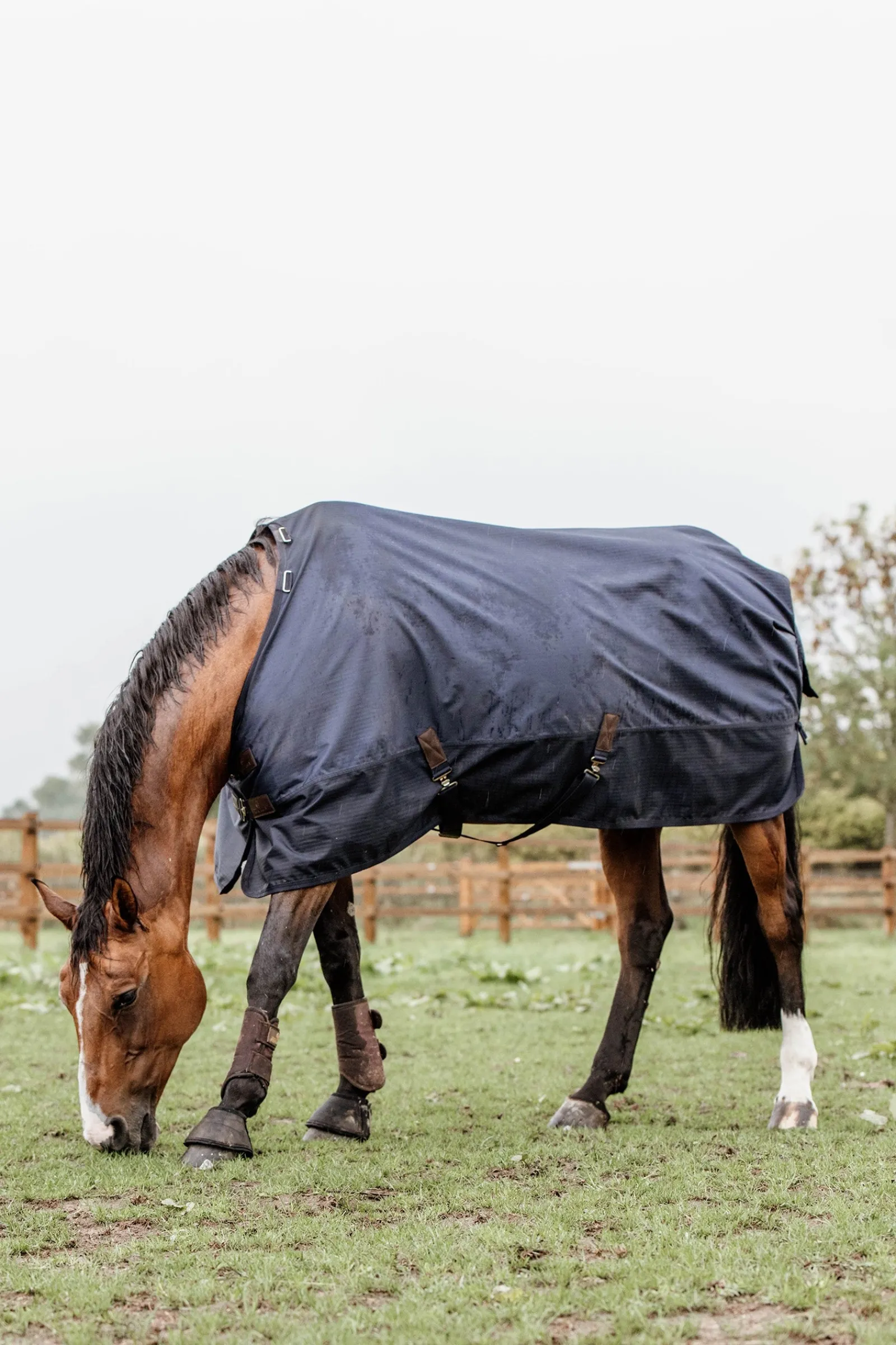 Kentucky Horsewear All Weather Weidedecke, 300g* Mittelschwere & Schwere Winterdecken