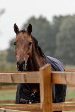 Kentucky Horsewear All Weather Weidedecke, 300g* Mittelschwere & Schwere Winterdecken