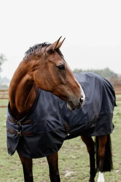 Kentucky Horsewear All Weather Weidedecke, 300g* Mittelschwere & Schwere Winterdecken