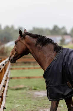 Kentucky Horsewear All Weather Weidedecke, 300g* Mittelschwere & Schwere Winterdecken
