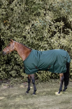 Kentucky Horsewear All Weather Weidedecke, 160g* Mittelschwere & Schwere Winterdecken