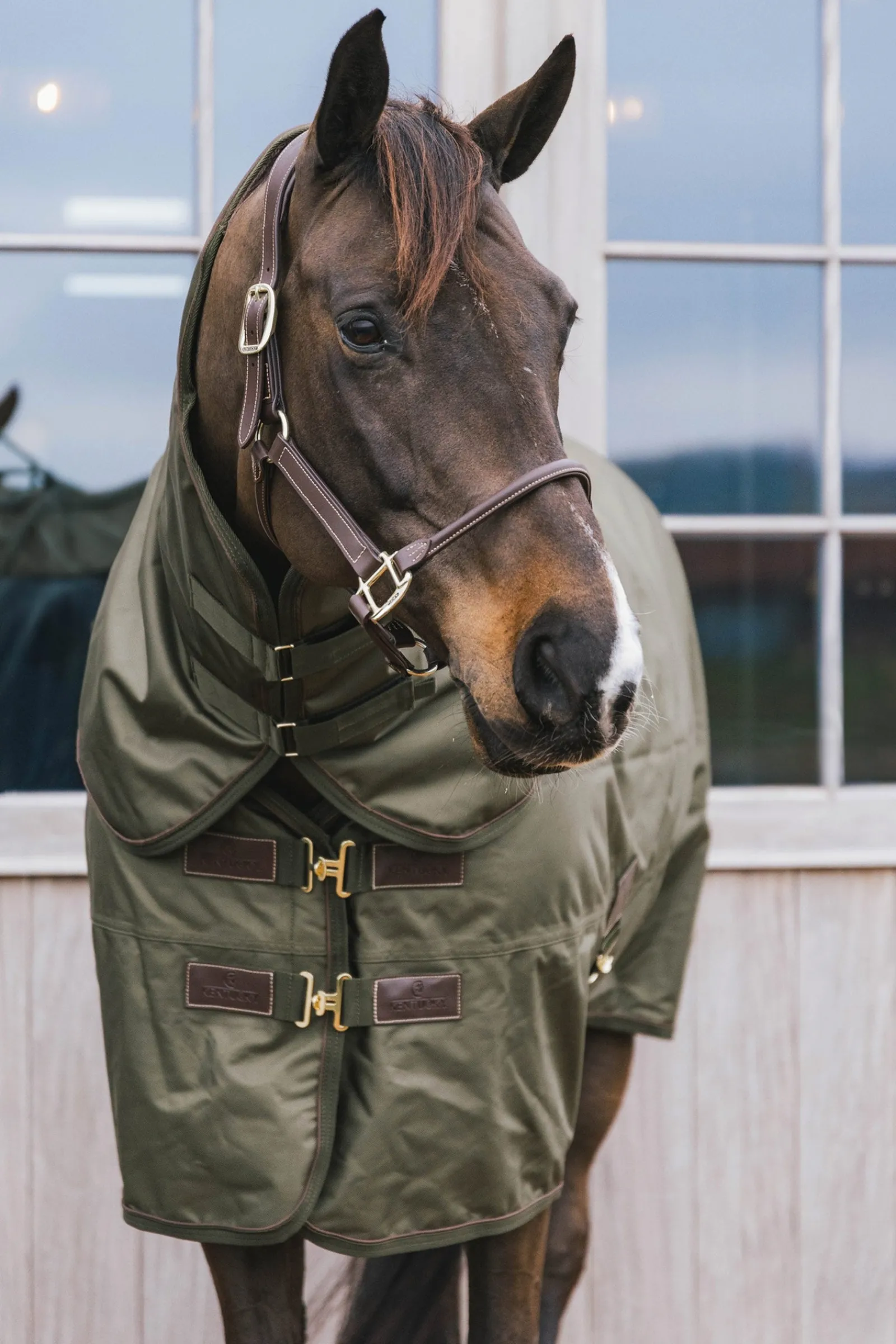 Kentucky Horsewear All Weather Weidedecke, 160g* Mittelschwere & Schwere Winterdecken