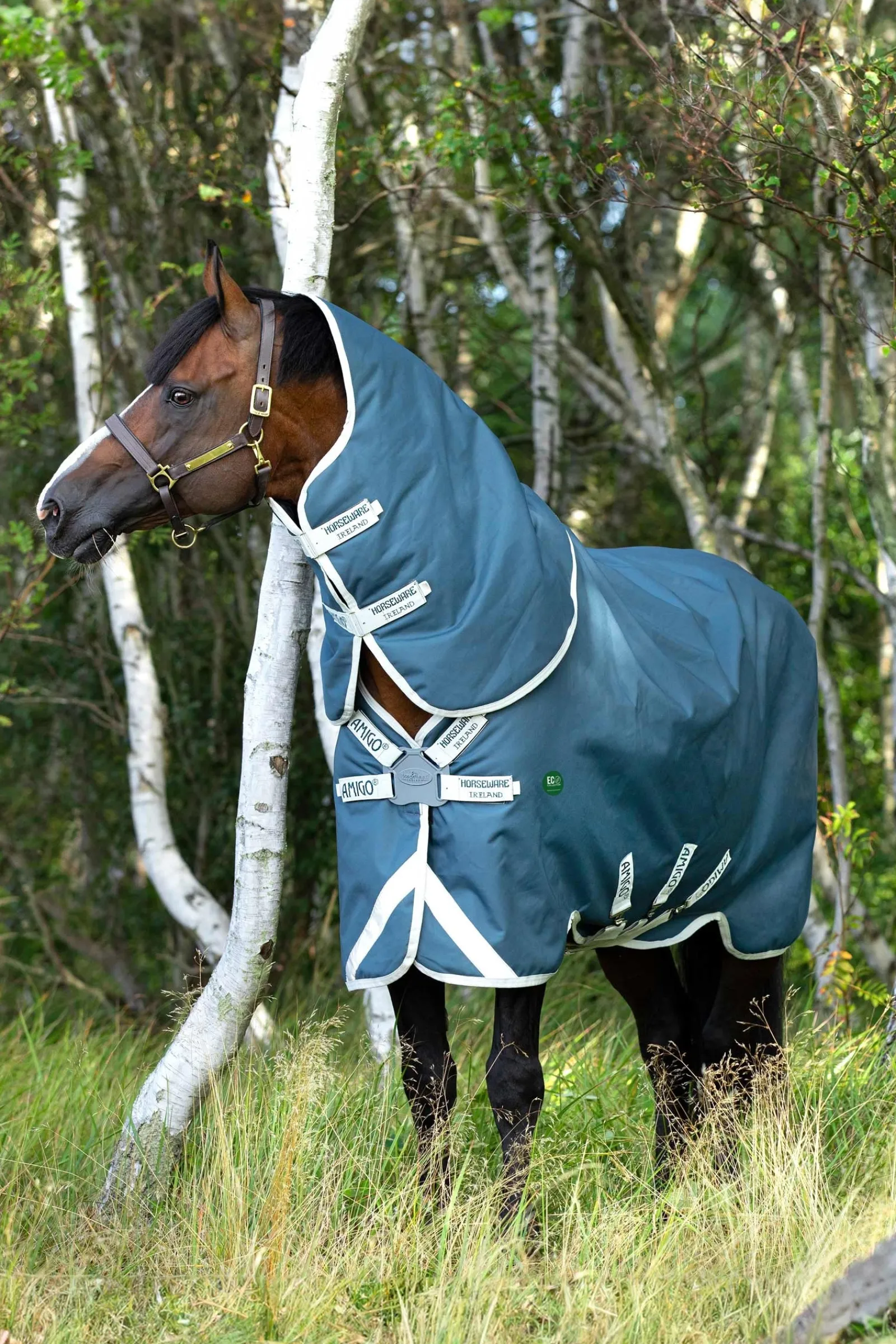 Horseware Amigo AmEco 12 Plus Weidedecke mit abnehmbarem Halsteil, 100g* Leichte Weidedecken