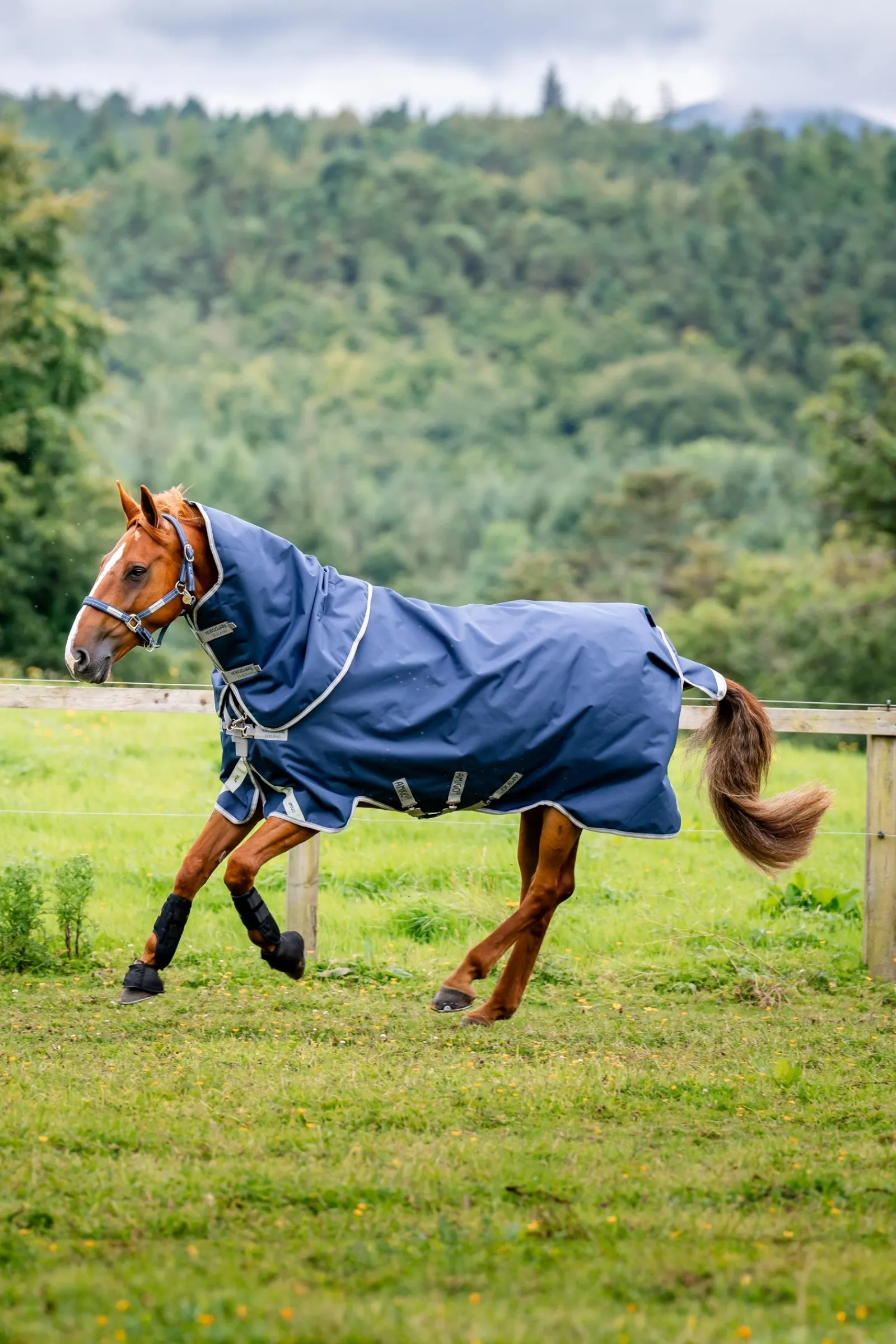 Horseware Amigo Bravo 12 Plus 100g* Leichte Weidedecken