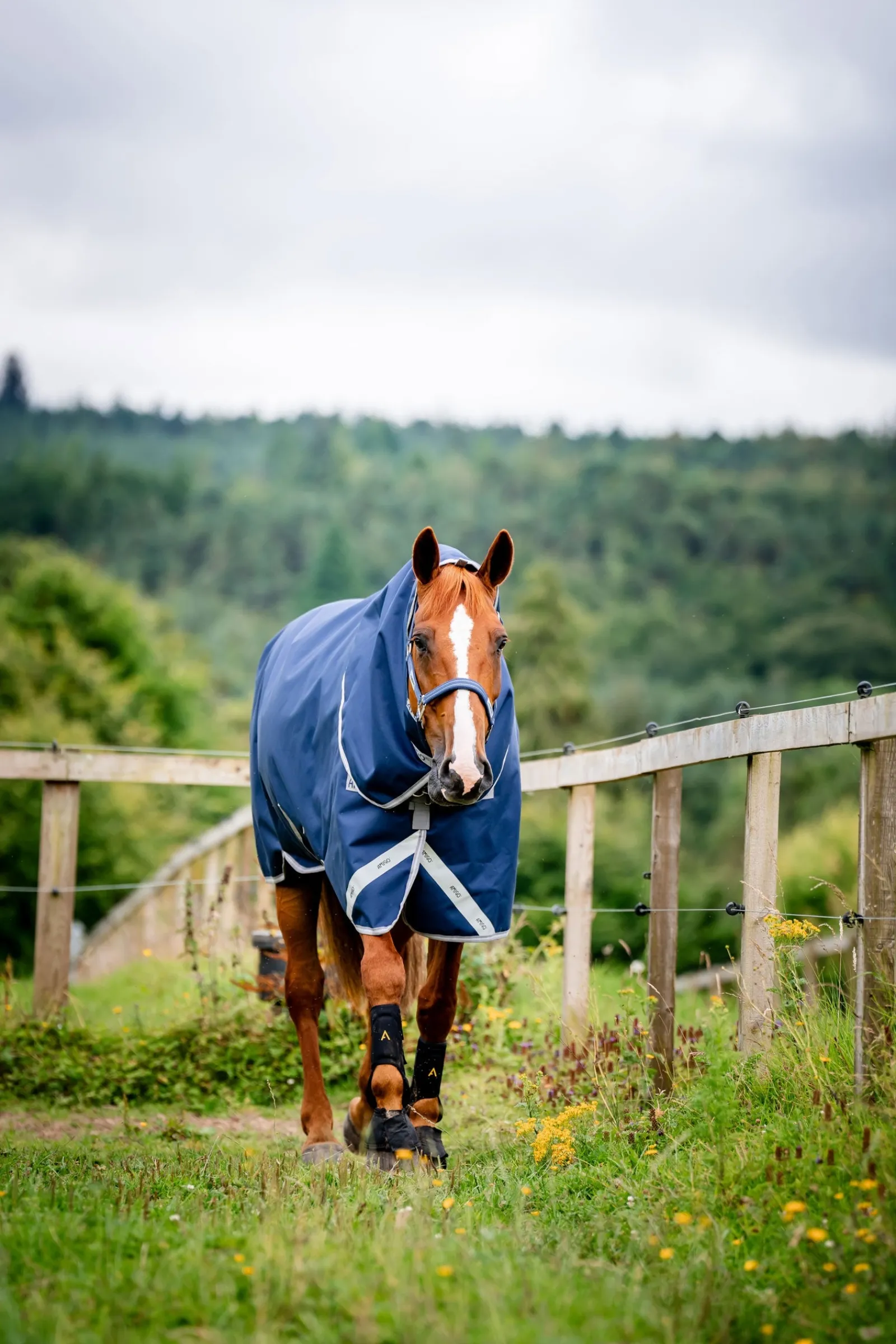 Horseware Amigo Bravo 12 Plus 100g* Leichte Weidedecken
