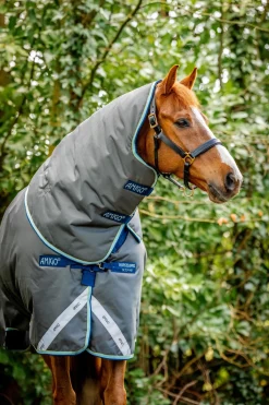 Horseware Amigo Bravo 12 Plus Weidedecke mit abnehmbarem Hals, 400g* Mittelschwere & Schwere Winterdecken