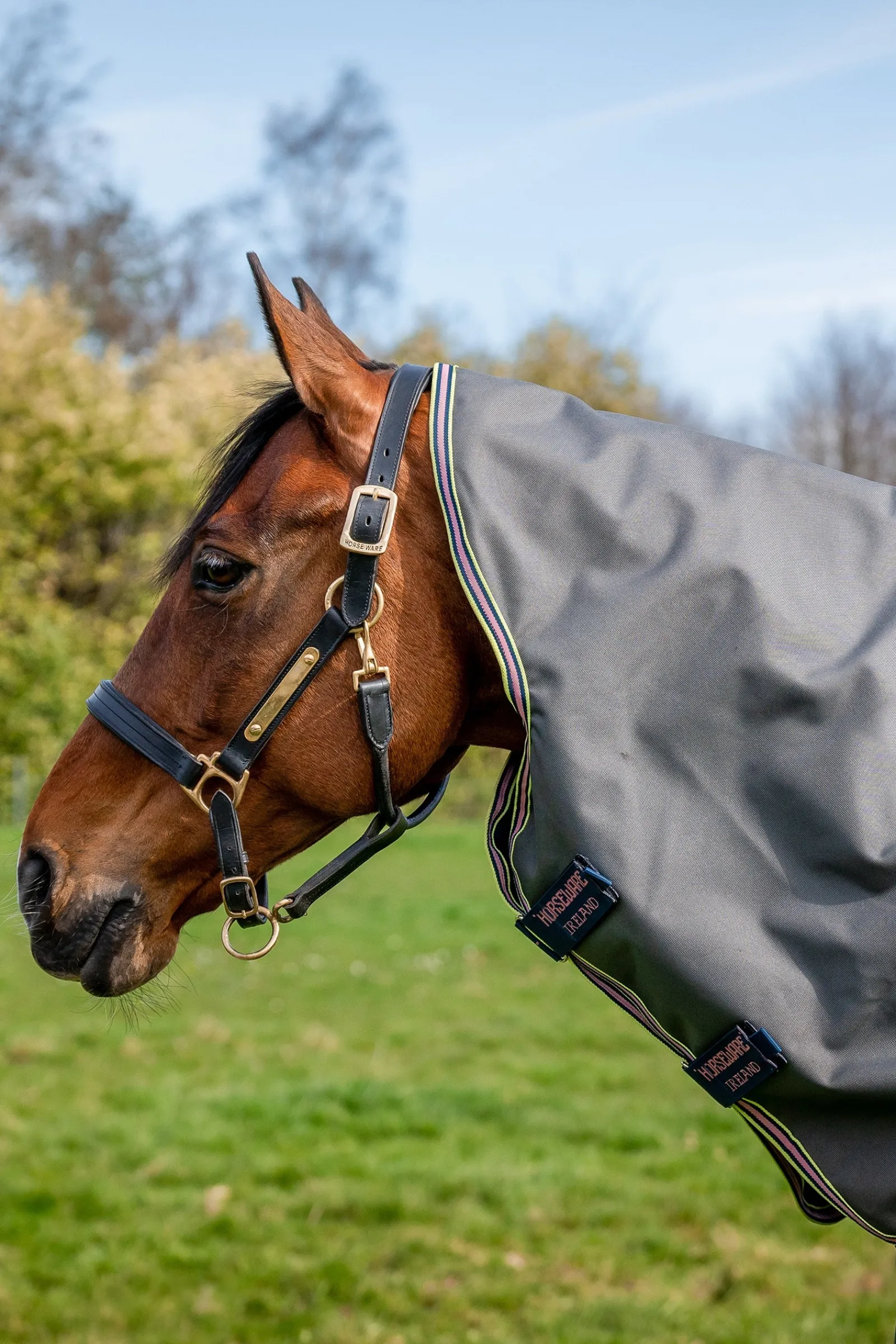 Horseware Amigo Bravo 12 Plus Weidedecke mit abnehmbarem Halsteil, 0g* Leichte Weidedecken