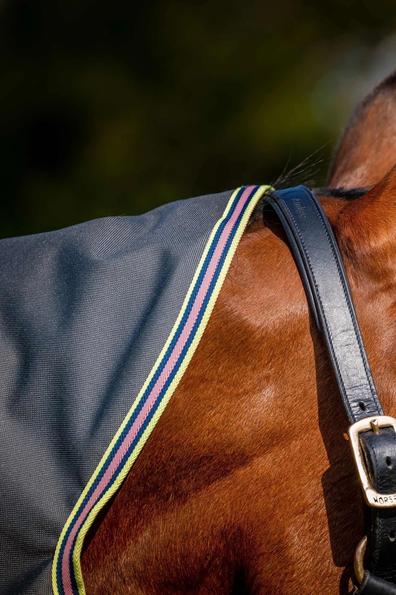 Horseware Amigo Bravo 12 Plus Weidedecke mit abnehmbarem Halsteil, 0g* Leichte Weidedecken