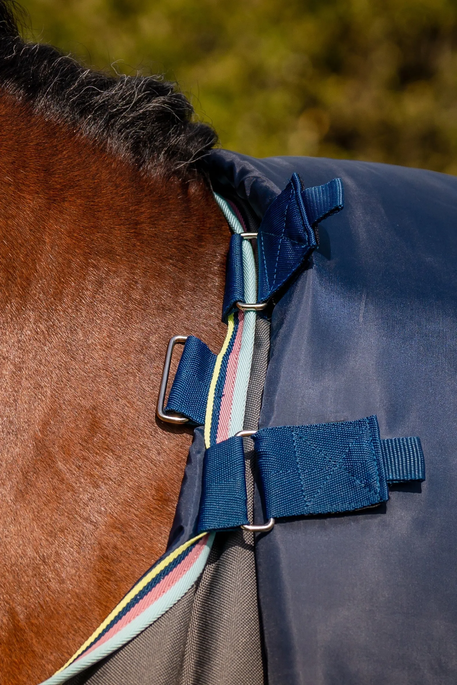 Horseware Amigo Bravo 12 Plus Weidedecke, 250 g* Mittelschwere & Schwere Winterdecken