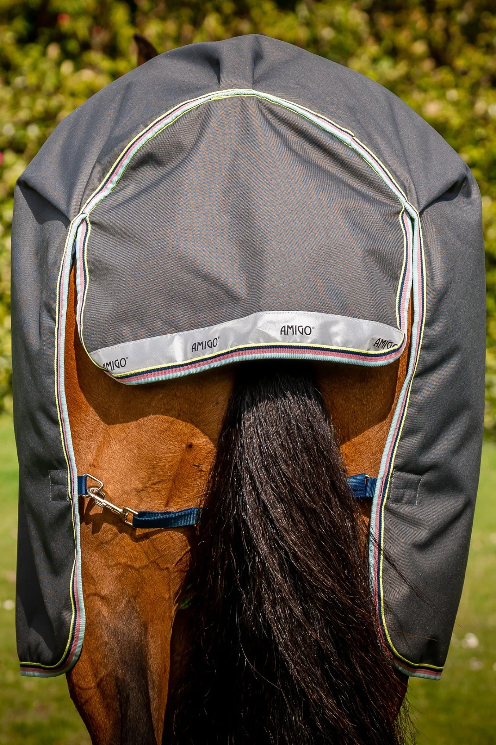 Horseware Amigo Bravo 12 Plus Weidedecke, 250 g* Mittelschwere & Schwere Winterdecken