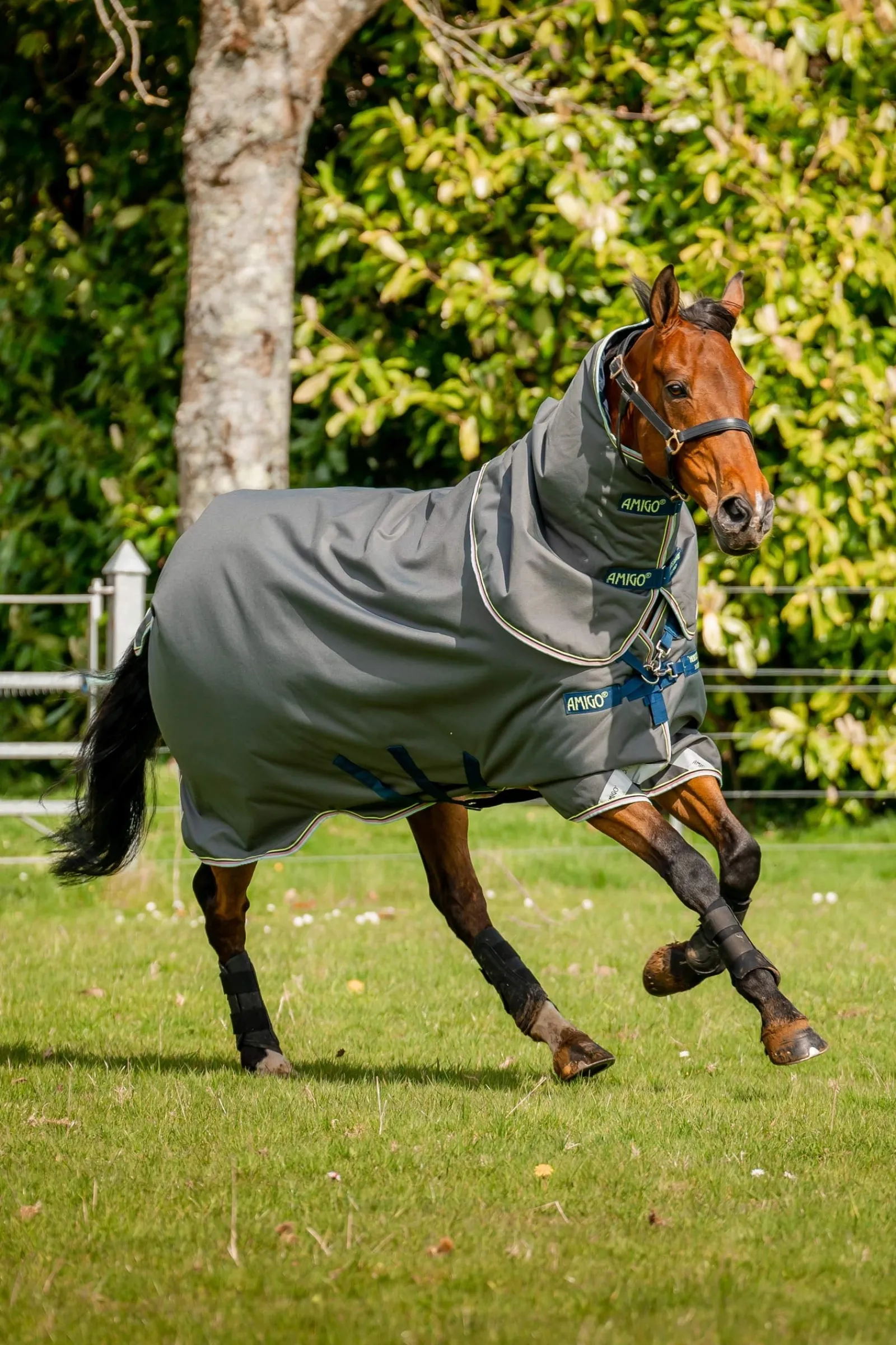 Horseware Amigo Bravo 12 Plus Weidedecke, 250 g* Mittelschwere & Schwere Winterdecken