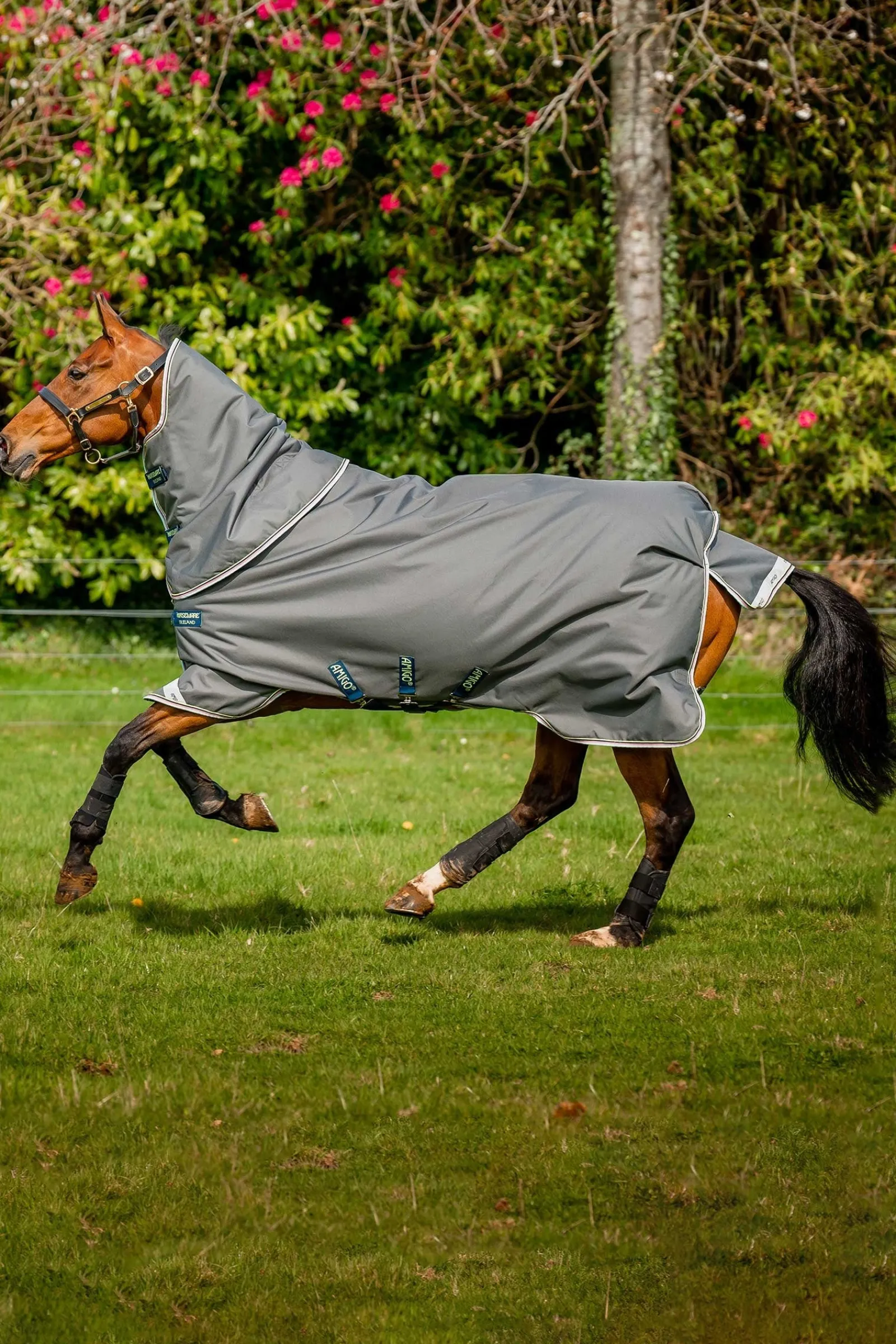 Horseware Amigo Bravo 12 Plus Weidedecke, 250 g* Mittelschwere & Schwere Winterdecken