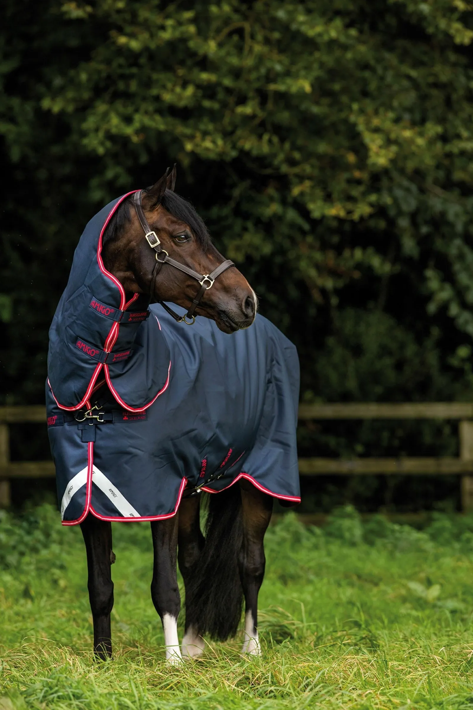 Horseware Amigo Bravo 12 Plus Weidedecke, 250 g* Mittelschwere & Schwere Winterdecken