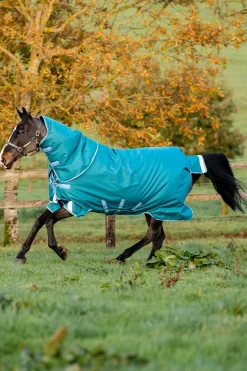 Horseware Amigo Bravo 12 Plus Weidedecke mit abnehmbarem Hals, 400g* Mittelschwere & Schwere Winterdecken