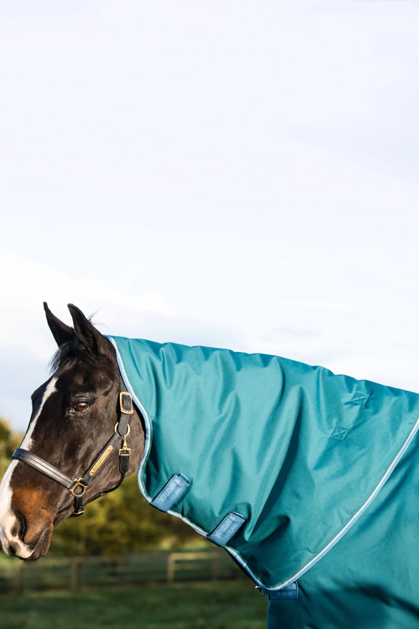 Horseware Amigo Bravo 12 Plus Weidedecke mit abnehmbarem Hals, 400g* Mittelschwere & Schwere Winterdecken