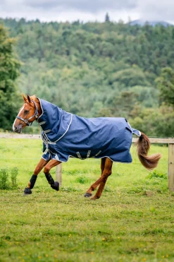 Horseware Amigo Bravo 12 Plus Weidedecke mit abnehmbarem Hals, 400g* Mittelschwere & Schwere Winterdecken