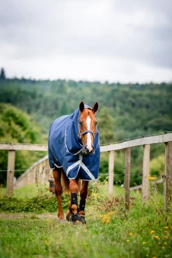 Horseware Amigo Bravo 12 Plus Weidedecke mit abnehmbarem Hals, 400g* Mittelschwere & Schwere Winterdecken