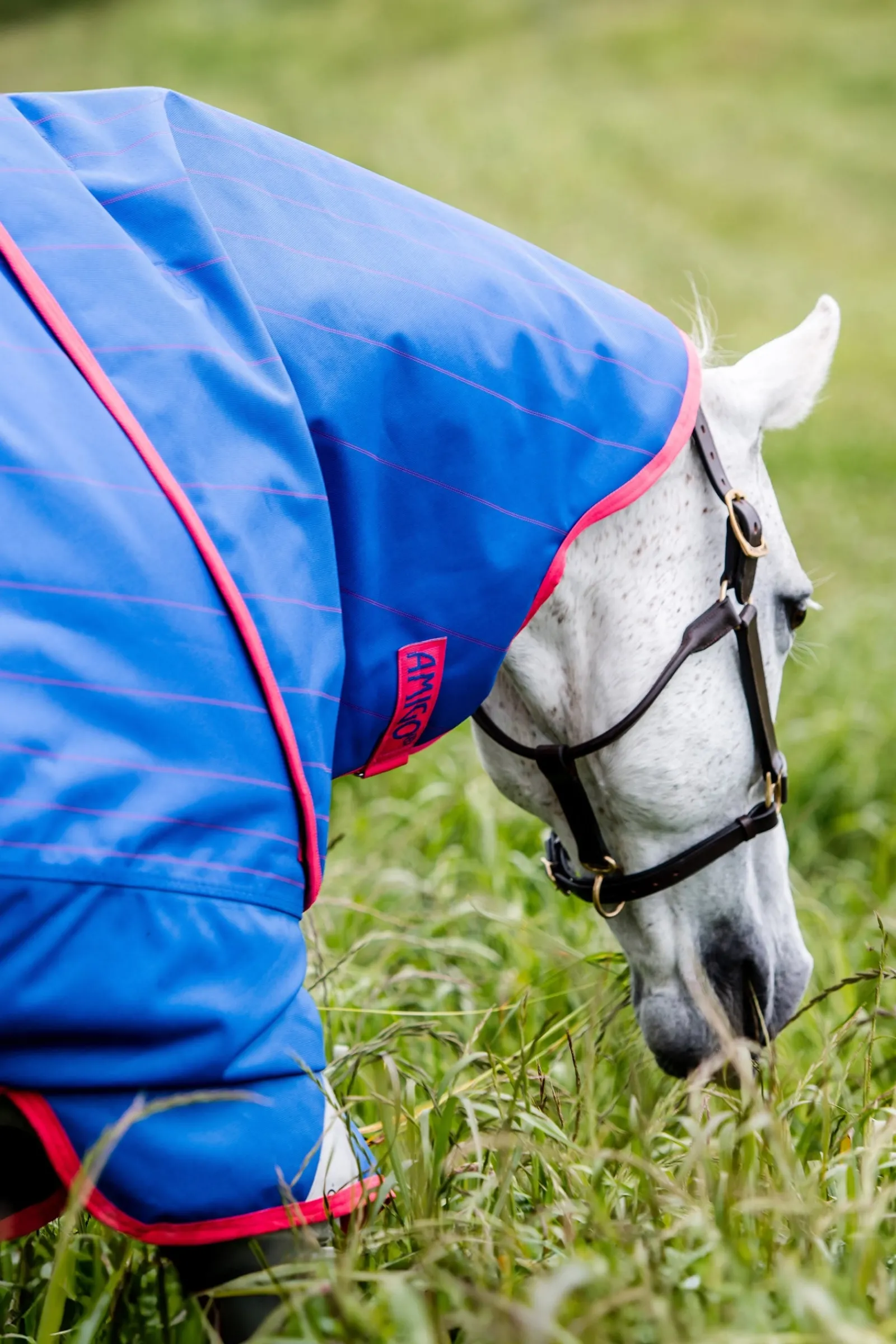 Horseware Amigo Bravo 12 Reflectech Plus Weidedecke mit abnehmbarem Halsteil, 250g* Mittelschwere & Schwere Winterdecken