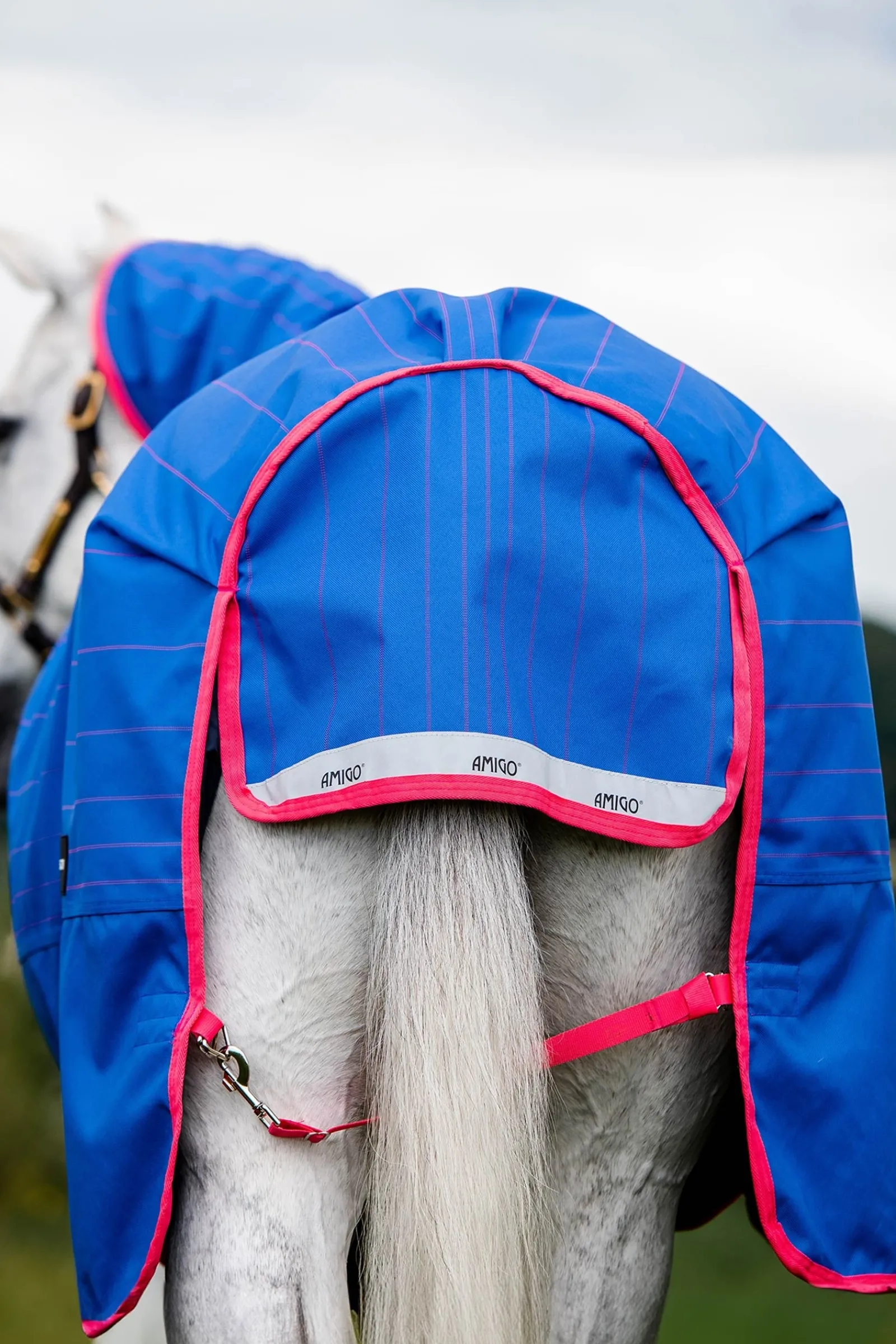 Horseware Amigo Bravo 12 Reflectech Plus Weidedecke mit abnehmbarem Halsteil, 250g* Mittelschwere & Schwere Winterdecken