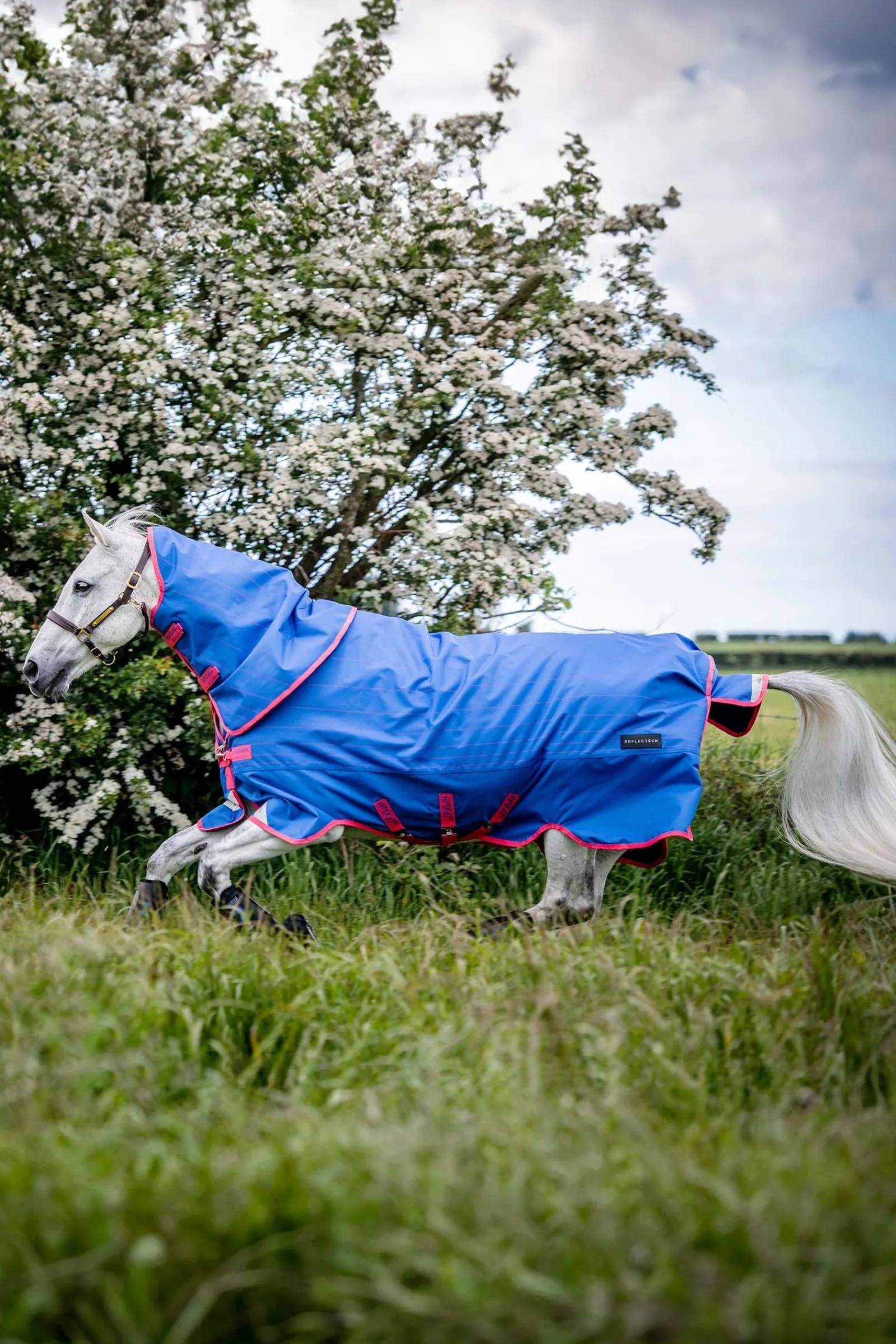 Horseware Amigo Bravo 12 Reflectech Plus Weidedecke mit abnehmbarem Halsteil, 250g* Mittelschwere & Schwere Winterdecken