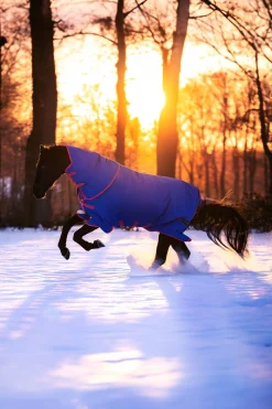 Horseware Amigo Bravo 12 Reflectech Plus Weidedecke mit abnehmbarem Halsteil, 250g* Mittelschwere & Schwere Winterdecken