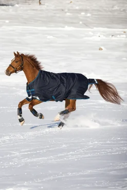 Horseware Amigo Bravo 12 Weidedecke, 100g* Leichte Weidedecken