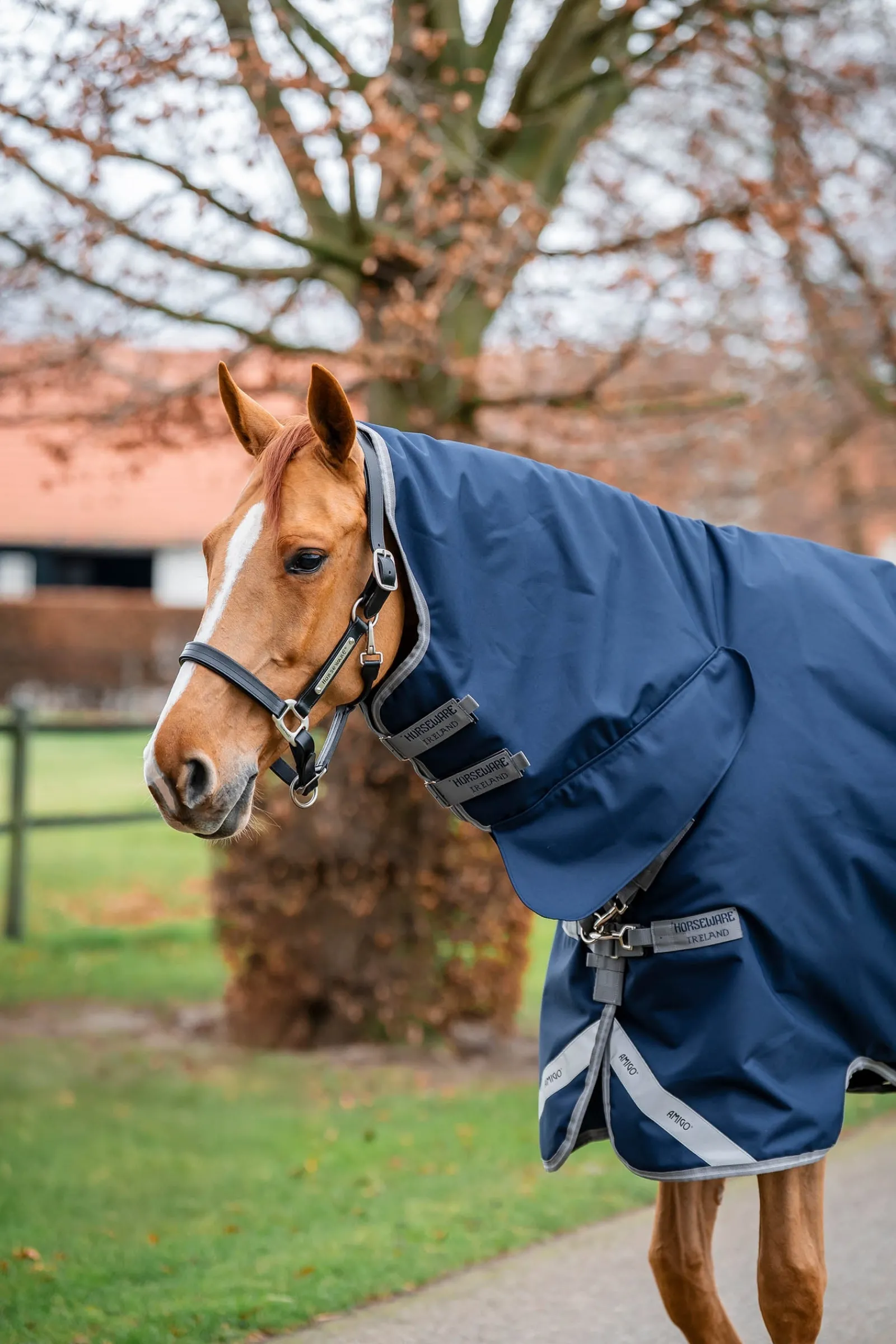 Horseware Amigo 1200D integrierte Outdoordecke 250 g* Mittelschwere & Schwere Winterdecken