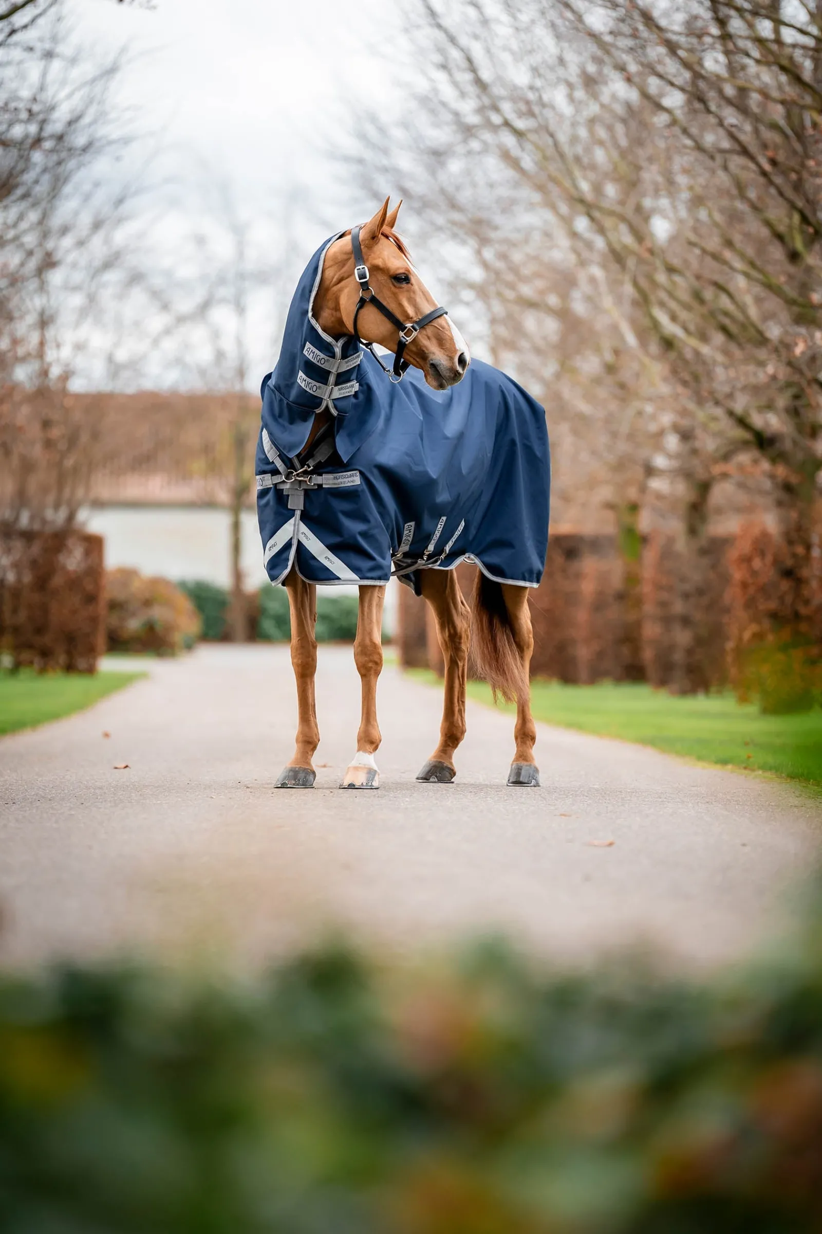 Horseware Amigo 1200D integrierte Outdoordecke 250 g* Mittelschwere & Schwere Winterdecken