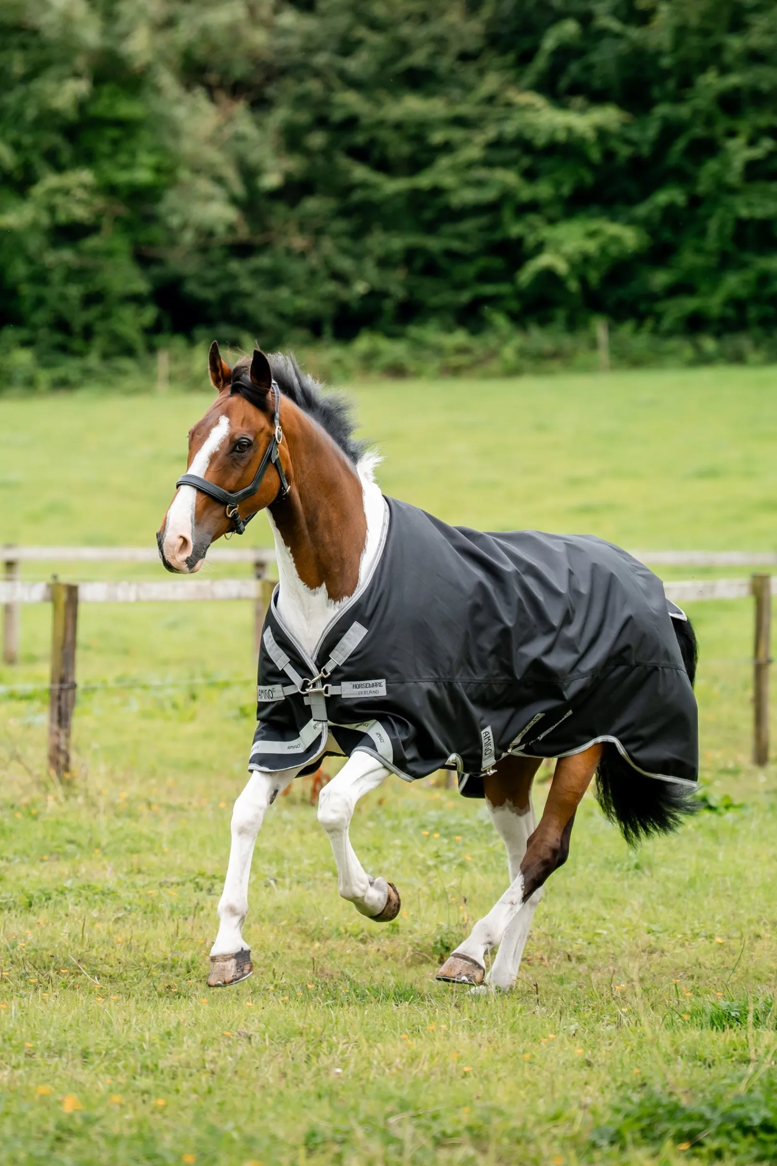 Horseware Amigo 1200D Outdoordecke, 50 g* Leichte Weidedecken