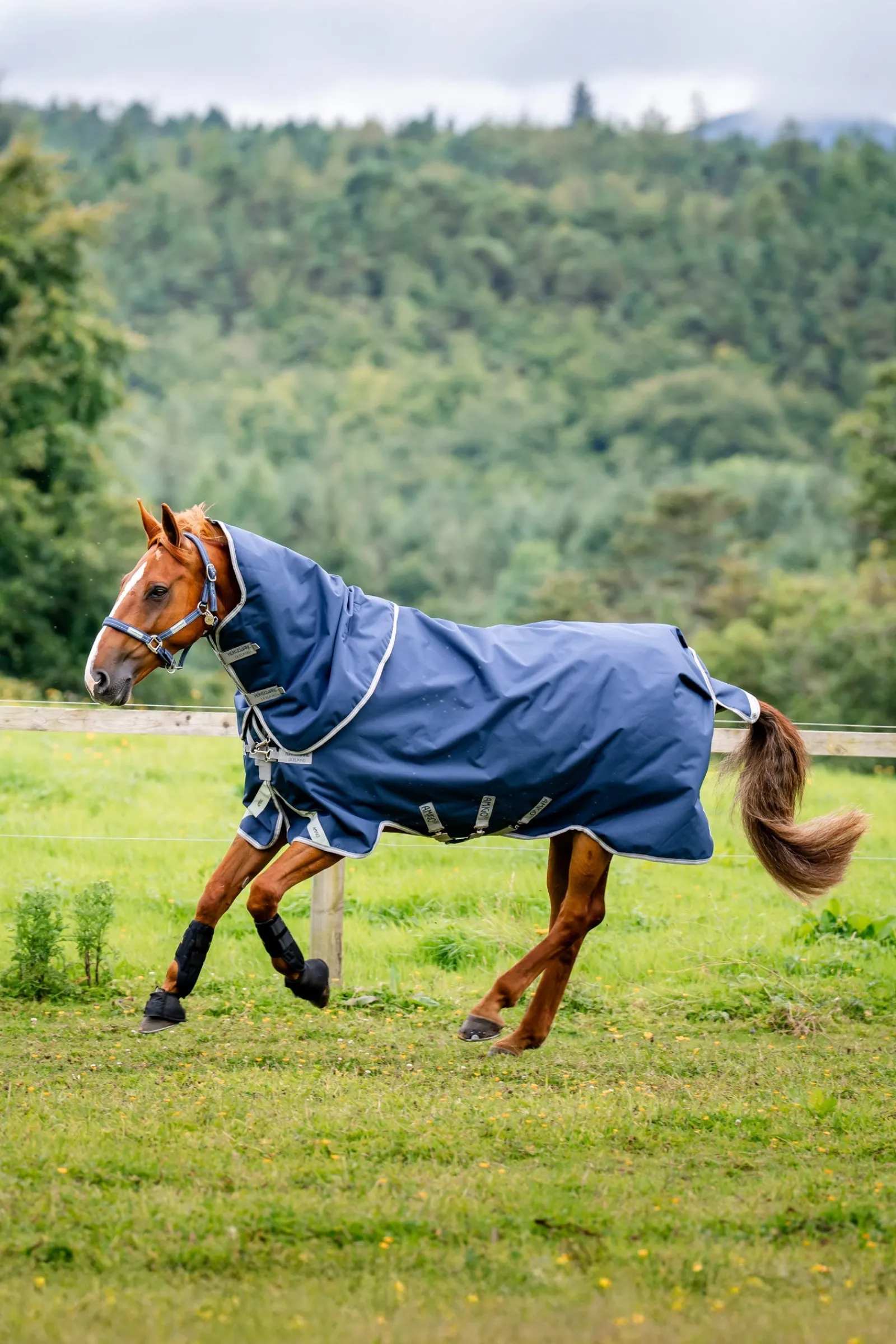 Horseware Amigo 1200D Plus Outdoordecke, 250 g* Mittelschwere & Schwere Winterdecken