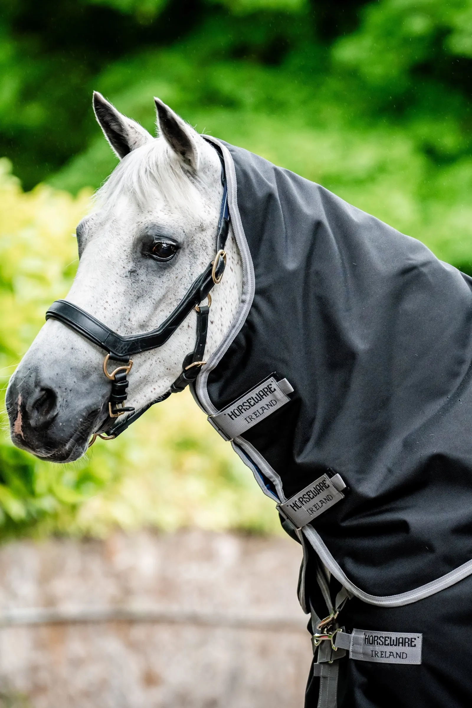 Horseware Amigo 1200D Plus Outdoordecke, 50 g* Leichte Weidedecken