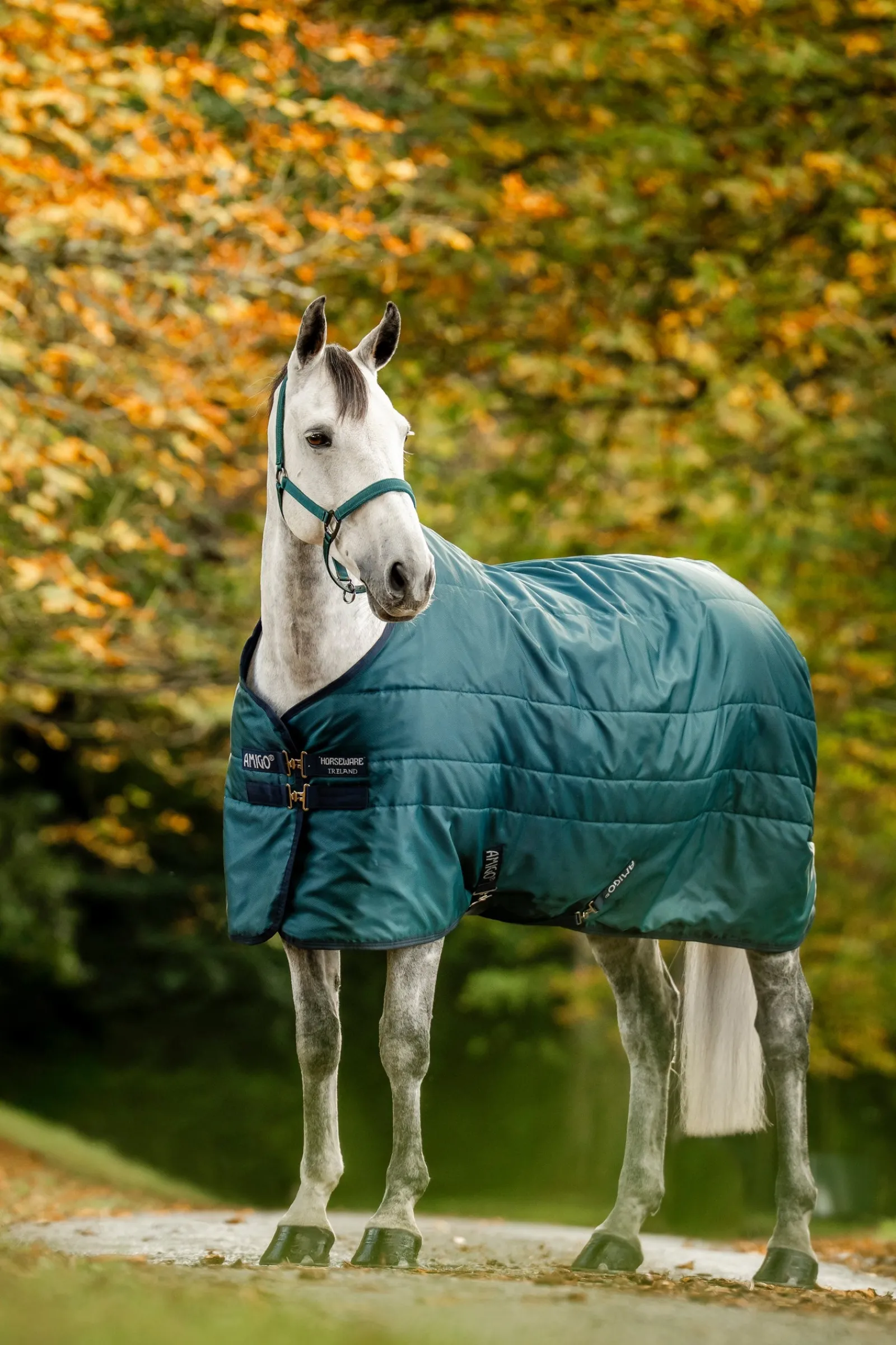 Horseware Amigo Diamond Insulator Stalldecke, 100 g* Stall- & Unterdecken