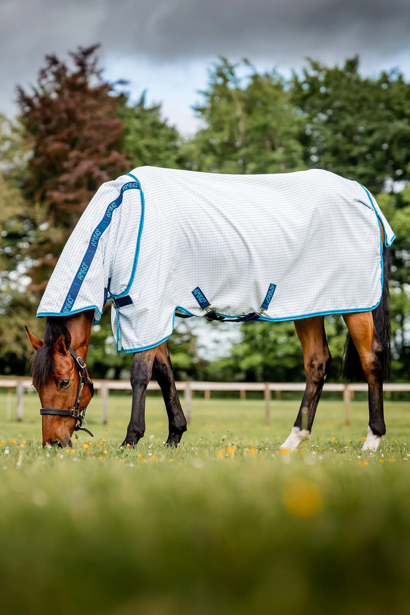 Horseware Amigo Fliegendecke Plus* Fliegendecken