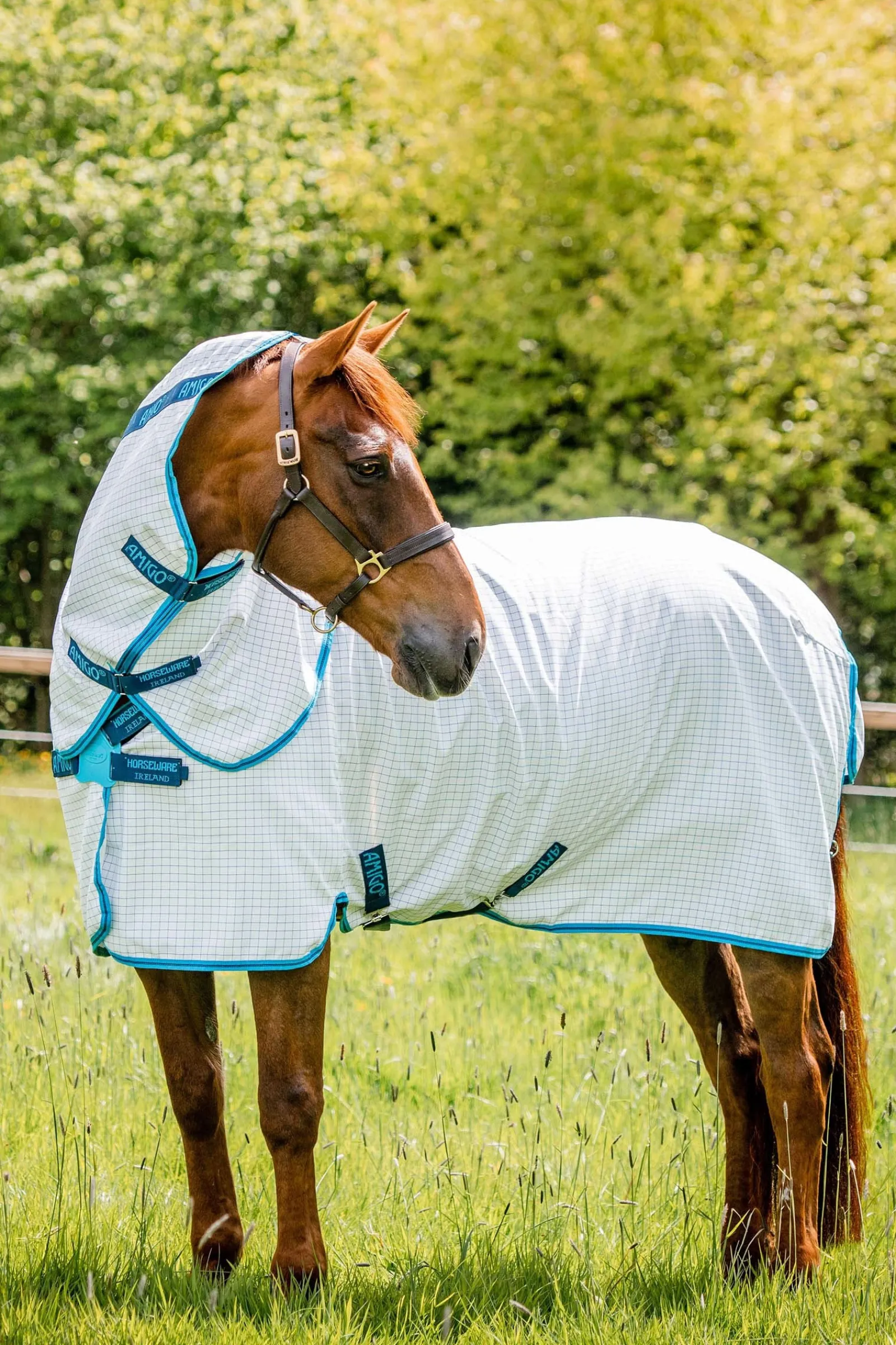 Horseware Amigo Fliegendecke Plus* Fliegendecken