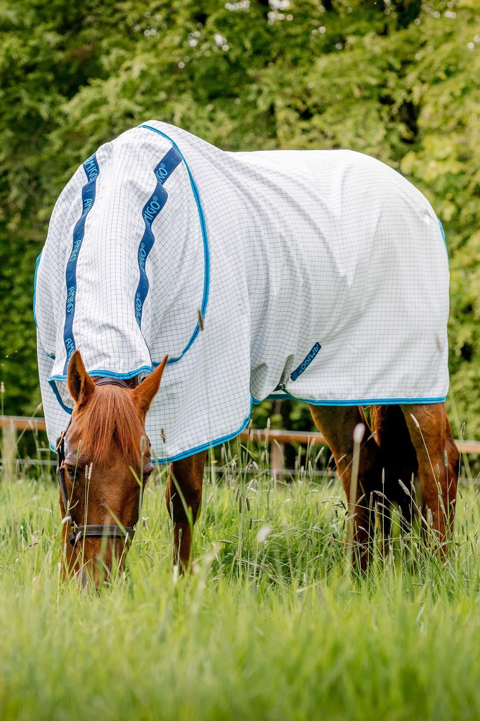 Horseware Amigo Fliegendecke Plus* Fliegendecken