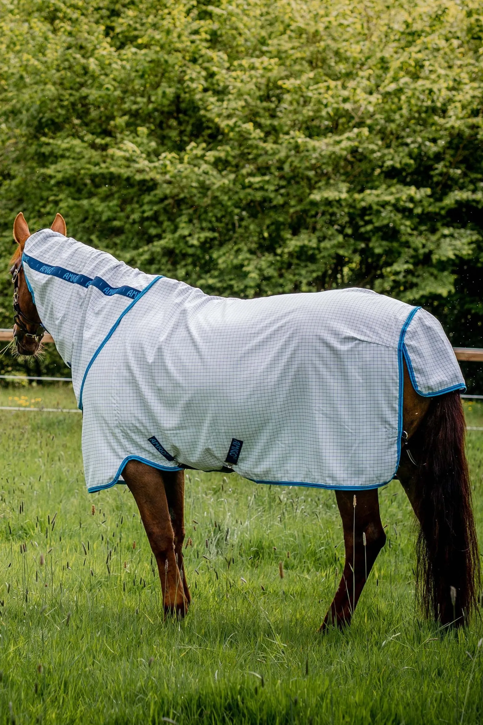 Horseware Amigo Fliegendecke Plus* Fliegendecken