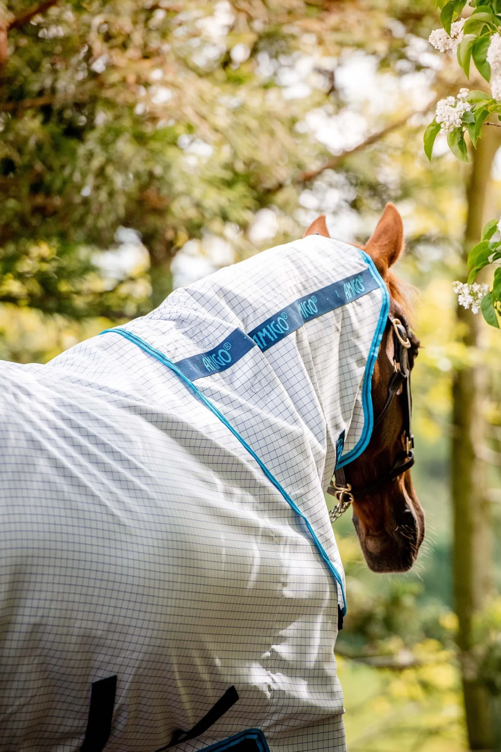 Horseware Amigo Fliegendecke Plus* Fliegendecken