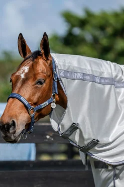 Horseware Amigo Fliegendecke Plus* Fliegendecken