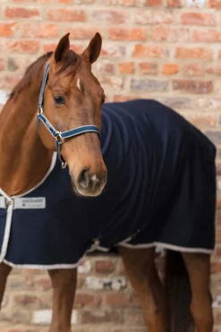 Horseware Amigo Halfter* Halfter