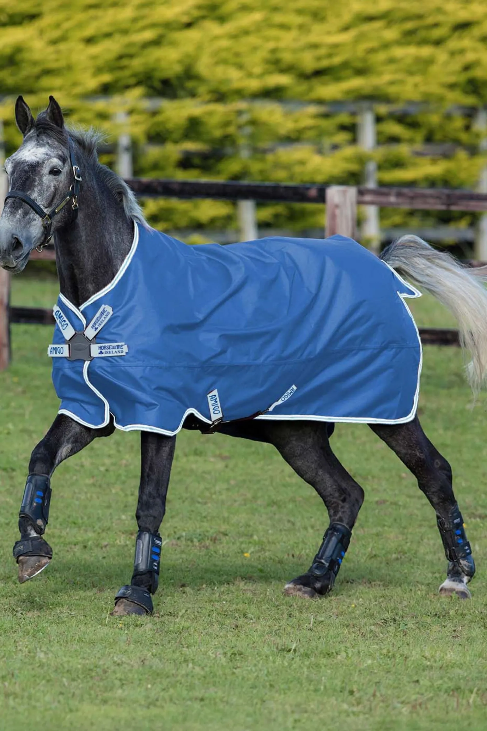 Horseware Amigo Hero 900 Disc Regendecke, 50g* Leichte Weidedecken