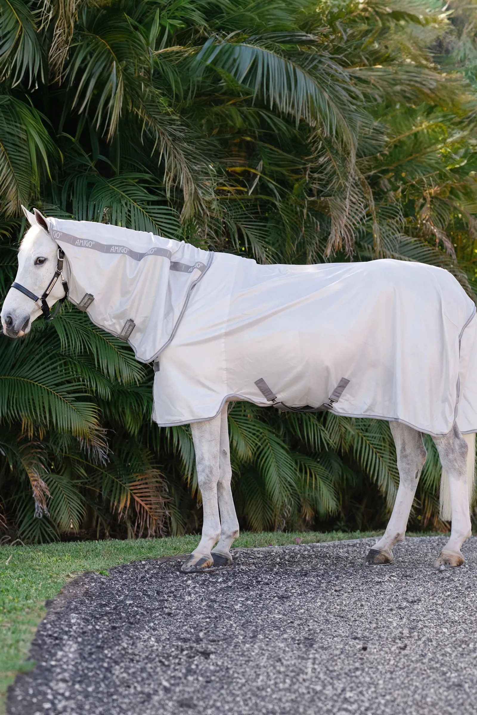 Horseware Amigo Integrierte Fliegendecke* Fliegendecken
