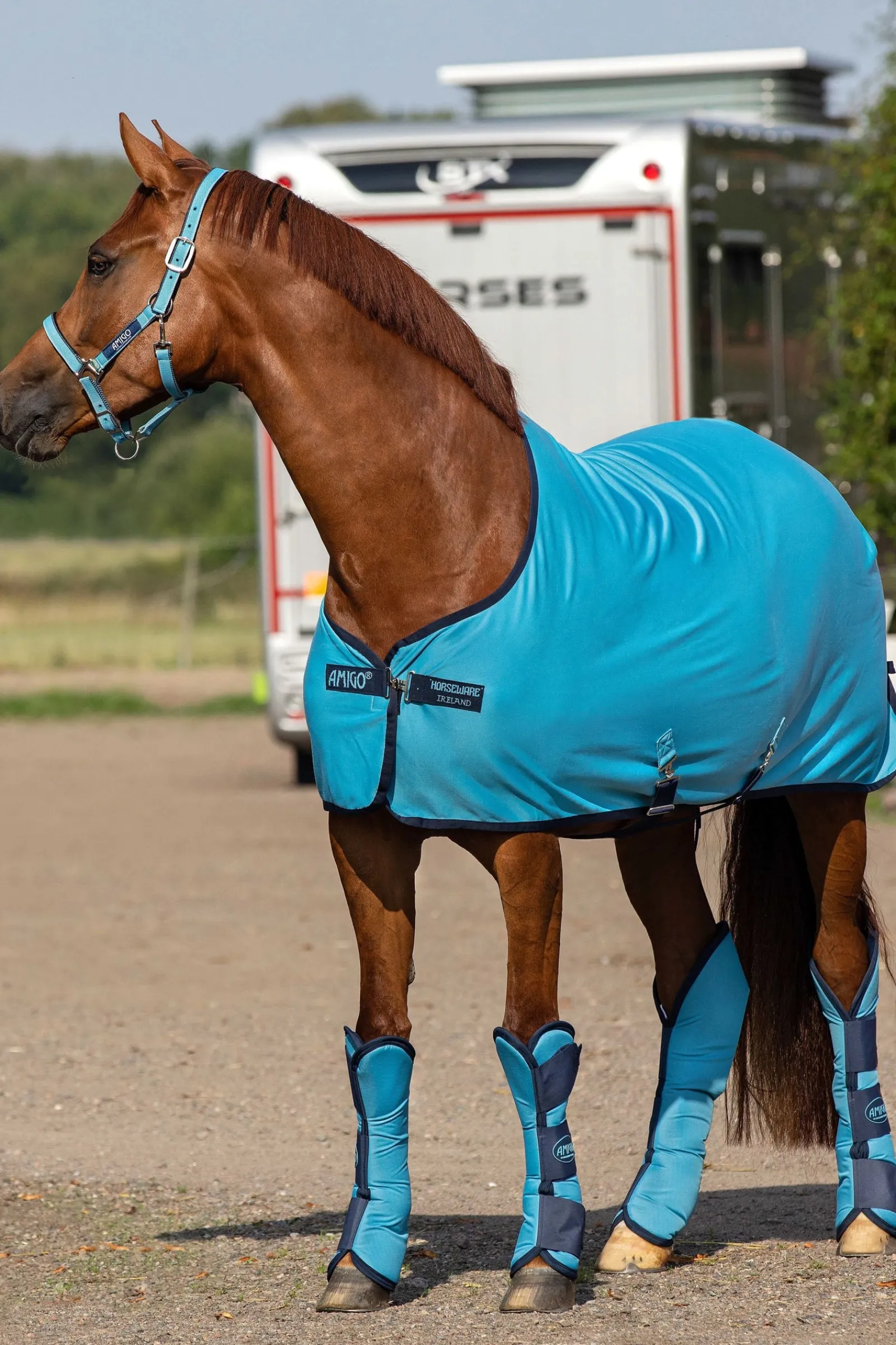Horseware Amigo Jersey Cooler Abschwitzdecke* Abschwitzdecken