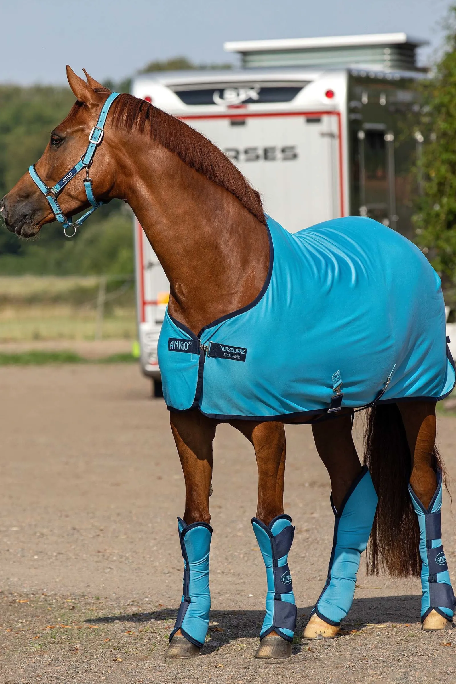 Horseware Amigo Jersey Cooler Abschwitzdecke* Abschwitzdecken