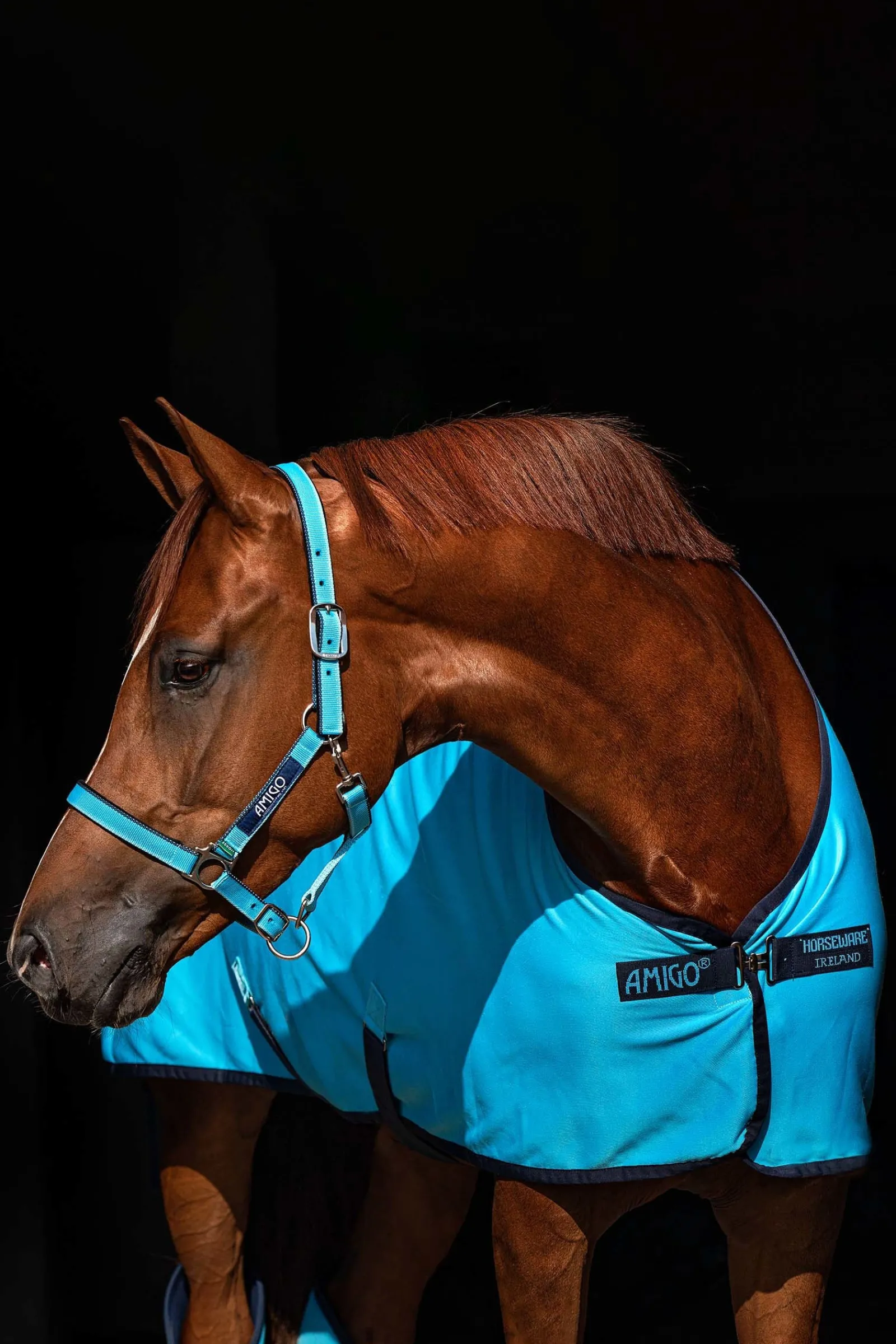 Horseware Amigo Jersey Cooler Abschwitzdecke* Abschwitzdecken